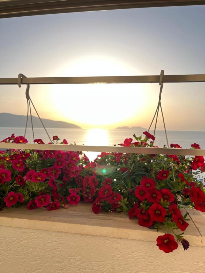 Lotus Apartments Vlore Ngoại thất bức ảnh