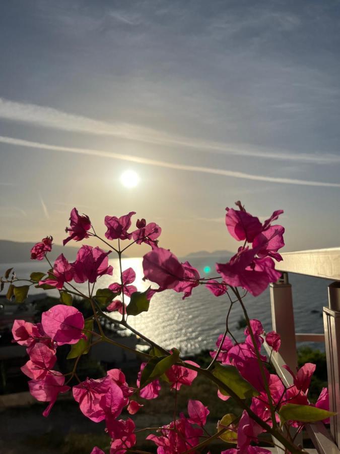 Lotus Apartments Vlore Ngoại thất bức ảnh